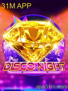 DiscoNight